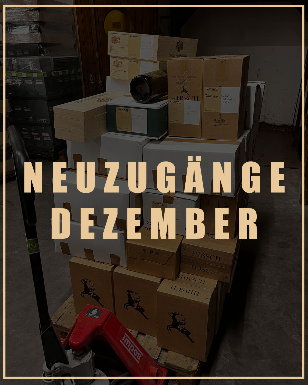 NEUZUGÄNGE DEZEMBER