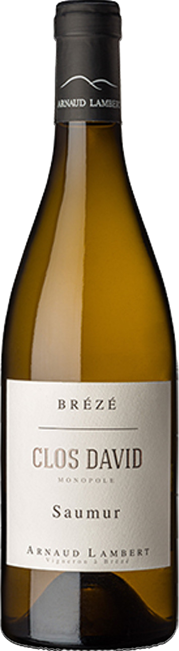 Clos David Saumur Chenin Blanc