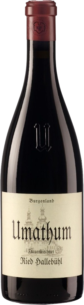 Ried Hallebühl Zweigelt