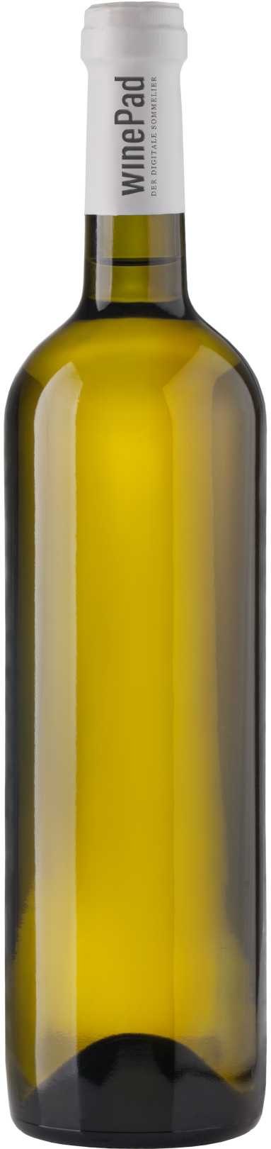 Ried Steinhaus Riesling