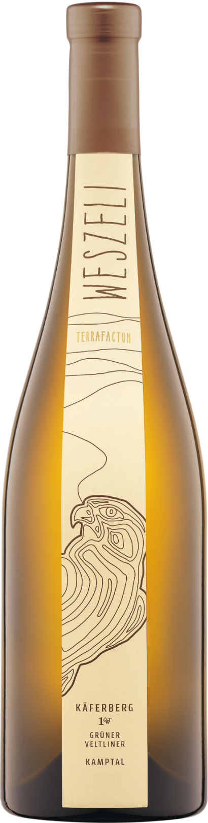 Käferberg Grüner Veltliner